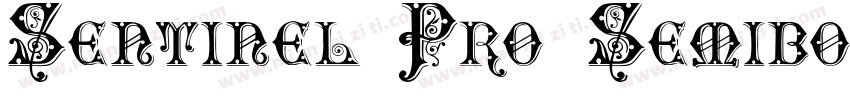 Sentinel Pro SemiboldItalic字体转换